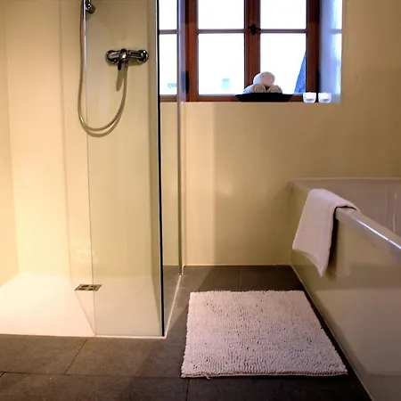 Apartament Nester