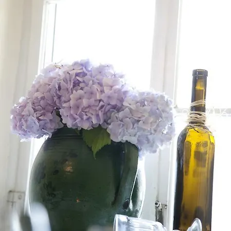 Apartament Nester